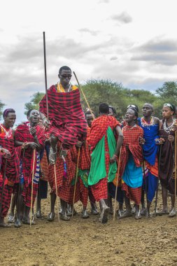 Aynı şekilde, Tanzanya, 5 Haziran 2019: Masai savaşçıları, kadınları etkilemek için etkileyici hareketler yapıyorlar.