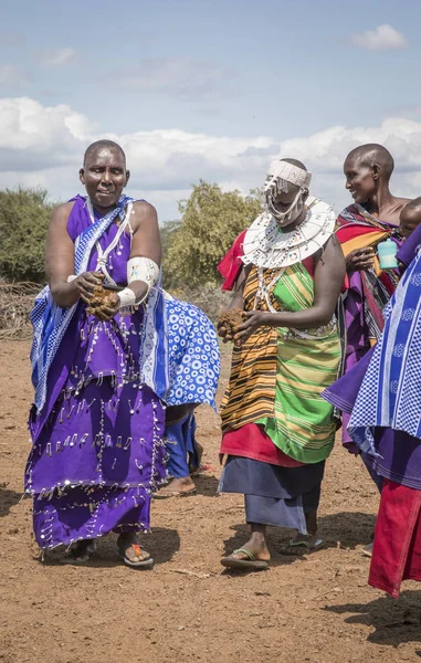 Same Tanzania 6Th June 2019 Maasai Ladies Collecting Fresh Cow — Stock Photo, Image