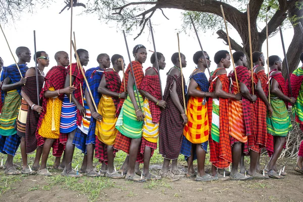 Same Tanzania Junio 2019 Guerreros Maasai Que Llegan Pueblo Vecino —  Fotos de Stock