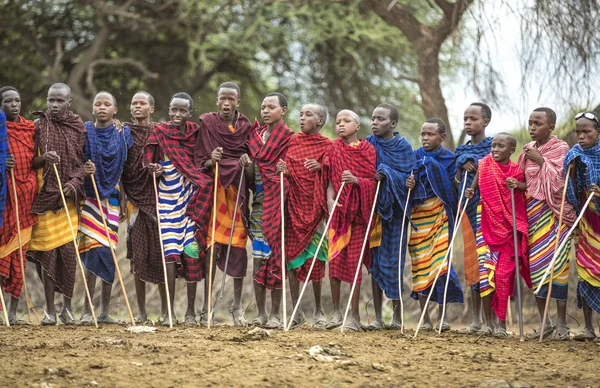 タンザニア 6月2019 マサイ族の戦士は 女性を感動させるために印象的な高さをジャンプします — ストック写真