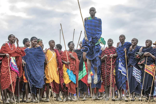 Ίδια Τανζανία Ιουνίου 2019 Πολεμιστές Maasai Πηδώντας Εντυπωσιακά Φώτα Για — Φωτογραφία Αρχείου