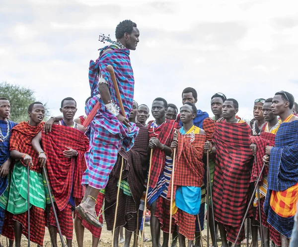 Dasselbe Tansania Juni 2019 Massai Krieger Die Beeindruckende Haarpracht Springen — Stockfoto
