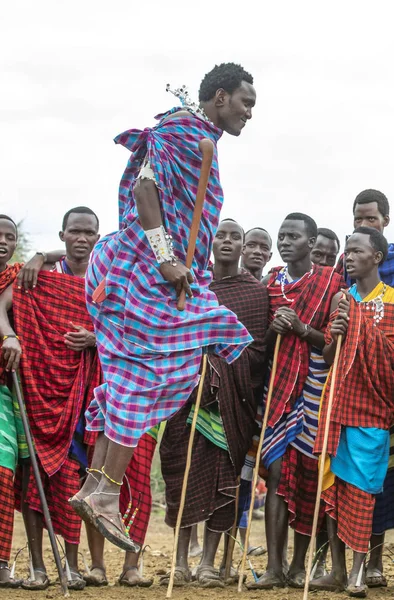 Same Tanzânia Junho 2019 Guerreiros Maasai Saltando Impressionantes Haights Para — Fotografia de Stock