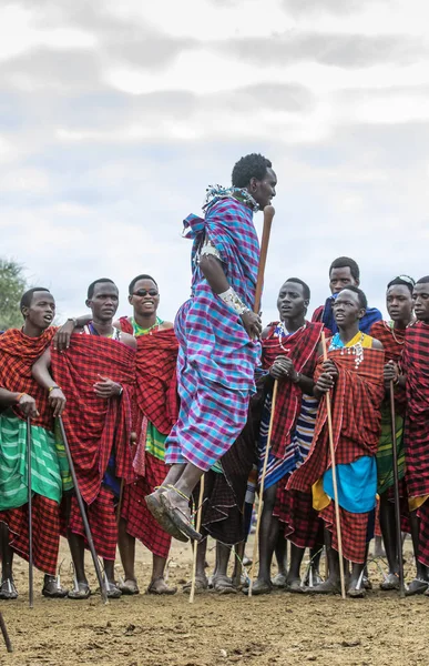 탄자니아 2019 마사이족 전사들 여인들에게 인상을 인상적 야유를 — 스톡 사진