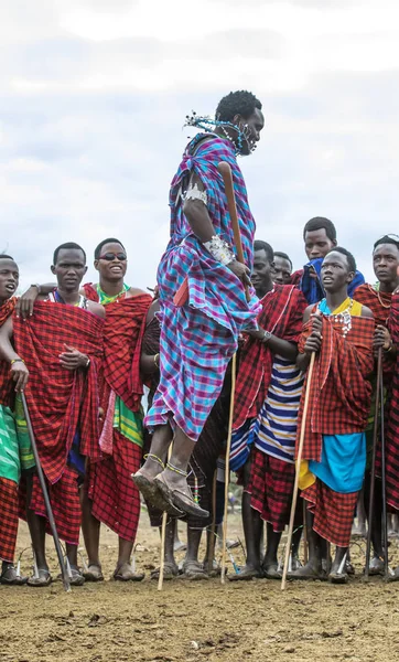 Samo Tanzania Czerwca 2019 Wojownicy Maasai Skaczący Imponujących Wysokościach Aby — Zdjęcie stockowe