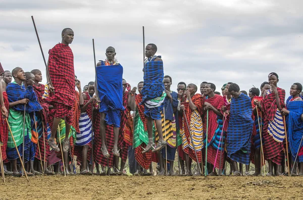 Totéž Tanzanie Června 2019 Maasai Bojovníci Skákání Působivé Haights Zapůsobit — Stock fotografie