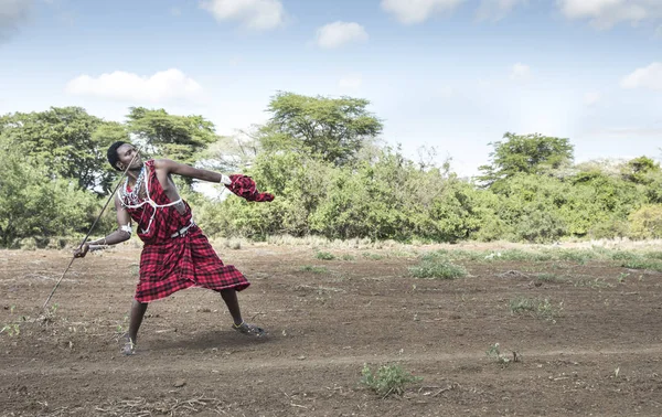 坦桑尼亚 2019年6月4日 英俊的马赛武士投掷长矛 — 图库照片