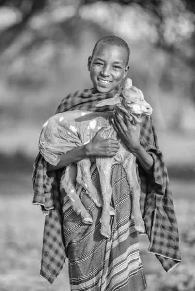 Samé Tanzanie Června 2019 Maasai Kozoroh — Stock fotografie