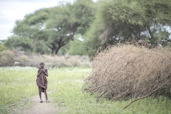 Same Tanzania Junio 2019 Niño Maasai Una Naturaleza Del Norte — Foto de Stock