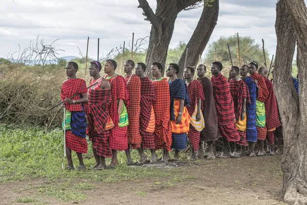 Samo Tanzania Czerwca 2019 Wojownicy Maasai Przybywający Sąsiedniej Wioski Uroczystym — Zdjęcie stockowe