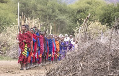 Aynı şekilde, Tanzanya, 5 Haziran 2019: Masai savaşçıları tören yürüyüşü için komşu köyden geliyorlar.