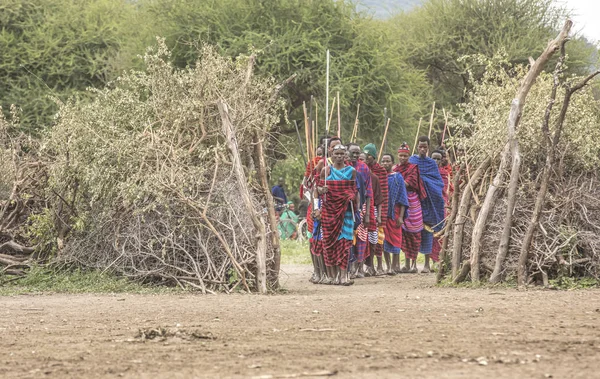 Ίδια Τανζανία Ιουνίου 2019 Πολεμιστές Maasai Που Φτάνουν Από Γειτονικό — Φωτογραφία Αρχείου