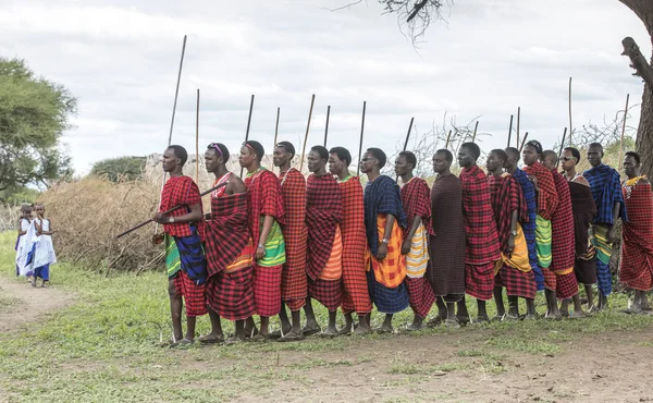 Сама Танзанія Червня 2019 Воїни Масаї Прибувають Сусіднього Села Урочисто — стокове фото