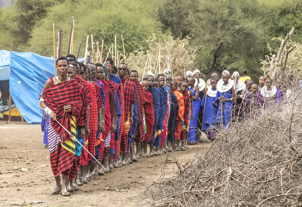 Ίδια Τανζανία Ιουνίου 2019 Πολεμιστές Maasai Που Φτάνουν Από Γειτονικό — Φωτογραφία Αρχείου