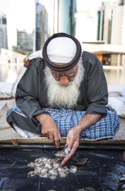 Abu Dabi, Birleşik Arap Emirlikleri, 14 Aralık 2019: Yeni yakalanan istiridyelerde inci arayan yaşlı balıkçı