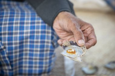 Balıkçı bir istiridyede bulduğu perilerle hava atıyor.