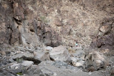Ras Al Khaimah, Uae, 13 Aralık 2019: Ras Al Khaimah dağlarındaki yürüyüşçüler