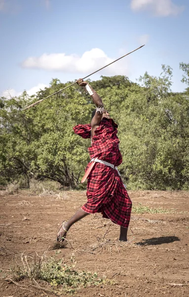 2019年6月6日 坦桑尼亚Maipo 英俊的马赛武士投掷长矛 — 图库照片