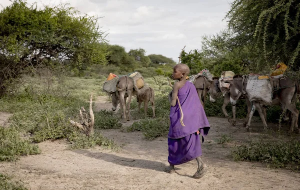 Moipa Tanzania Juni 2019 Maasai Dame Gaat Water Halen Uit — Stockfoto