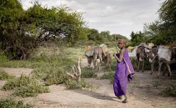 Мойпа Танзания Июня 2019 Года Леди Масаи Собирается Принести Воду — стоковое фото