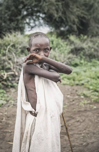 Maipo, Tanzanya, 4 Haziran 2019: Doğadaki maasai çocuk