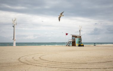 Dubai, Birleşik Arap Emirlikleri, 11 Ocak 2020: Bir sabah Dubai plajı