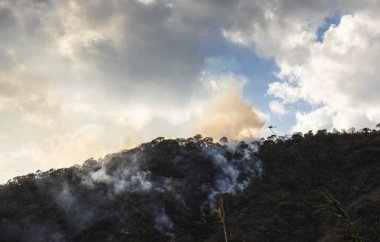 Helikopter orman yangınının üzerinde süzülüyor, alevlere su döküyor.