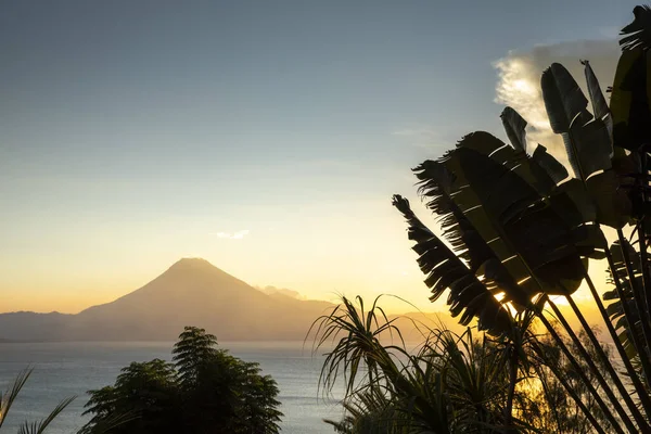 Pôr Sol Sobre Lago Atitlan Através Jardim Tropical — Fotografia de Stock