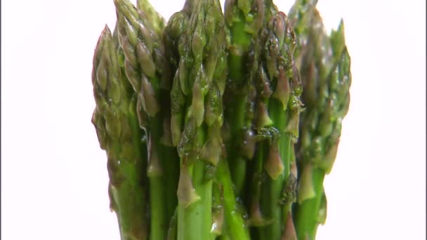 Asparagus rotating on white background — Stock Video