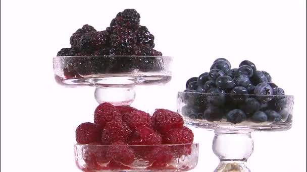 Sortierte Beeren in abgestuften Tabletts — Stockvideo