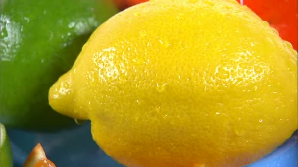 Assorted citrus fruit rotating on white background — Stock Video