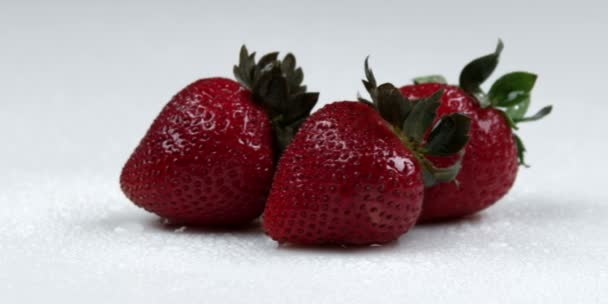 Paneo a través de fresas — Vídeos de Stock