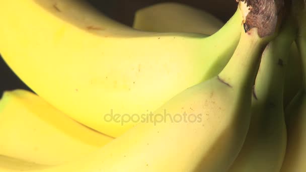 Banana rotativa close up — Vídeo de Stock