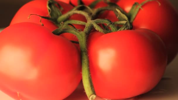 Вращающиеся помидоры на виноградной лозе увеличены — стоковое видео
