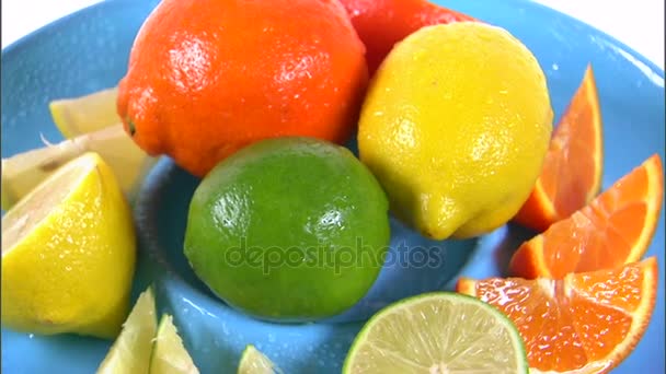 Assorted citrus fruit rotating on white background — Stock Video