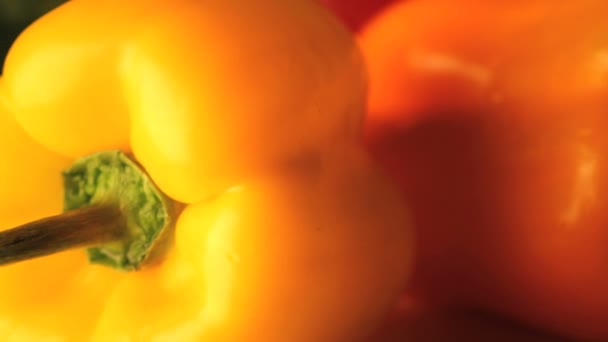 Roterande gul paprika — Stockvideo