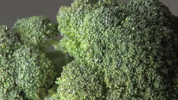 Broccoli bagnati rotanti — Video Stock