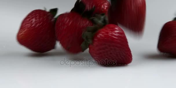 Strawberries dropping onto table — Stock Video