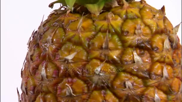 Kantelen naar beneden van ananas draaien op witte achtergrond — Stockvideo