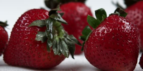 Primer plano panorámica a través de cerezas rojas — Vídeo de stock