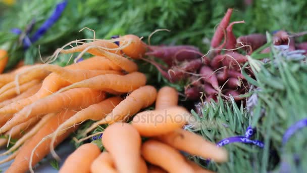 美拍摄的新鲜胡萝卜和草药 — 图库视频影像