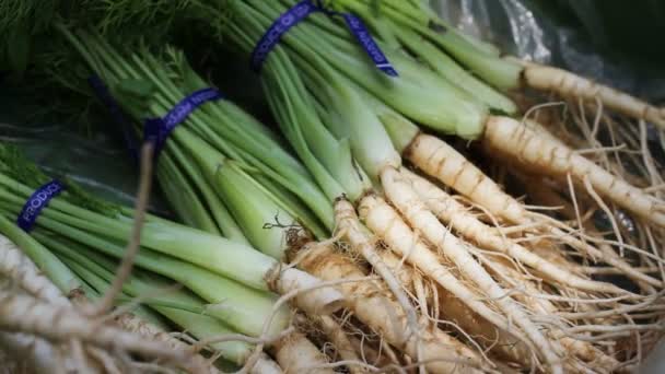 Beauty shot of fresh root vegetables — Stock Video