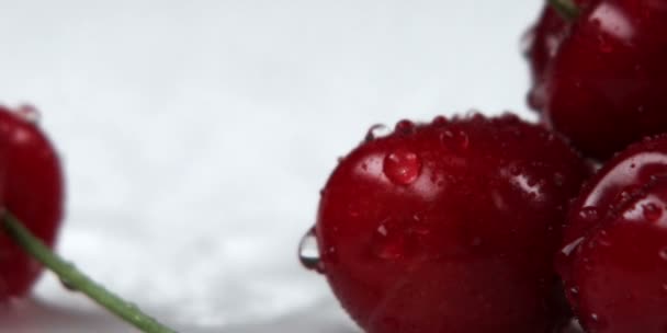 Primer plano panorámica a través de cerezas rojas — Vídeo de stock