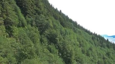 ağaçlar uzun kayma