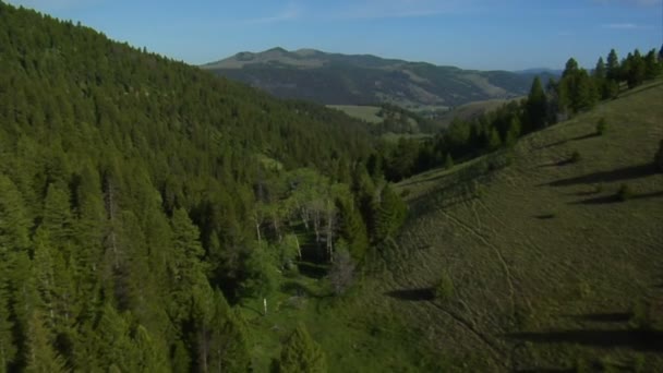 Vista aérea del estrecho valle y las montañas — Vídeo de stock