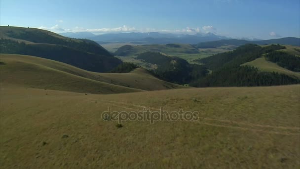 Foto aérea de pastizales abiertos con bosque y montañas — Vídeo de stock