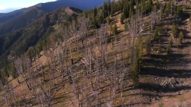 paysage de montagne stérile