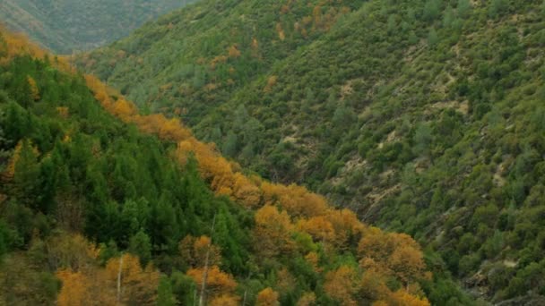 Profondément dans la vallée — Video