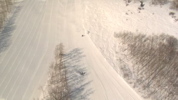 Катання на лижах по засніженій горі — стокове відео