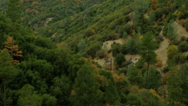 Balayant la colline verte de la vallée — Video